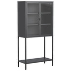Display Storage Cabinet with Glass Doors and 2 adjustable Shelves
