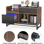 39-Inch Wood 2-Drawer File Filing Cabinet Printer Stand